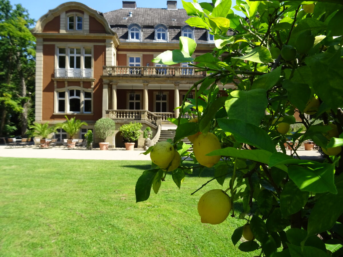 Feste & Events auf Schloß Eldingen Schloss Eldingen